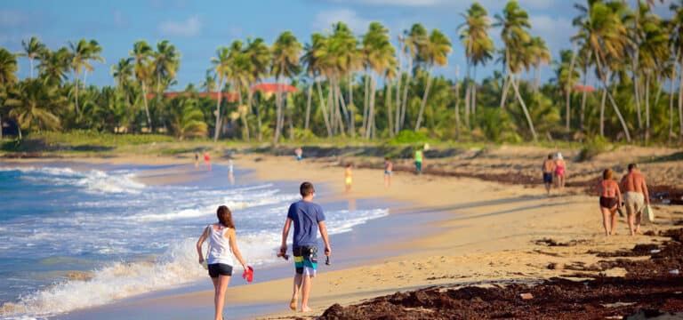 Arena Blanca → Aeropuerto Punta Cana (PUJ)