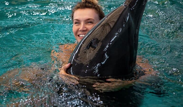 Nado con delfines en Dolphin Explorer, Punta Cana