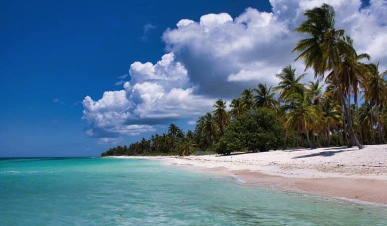 Playa de arena blanca y agua turquesa en Isla Catalina