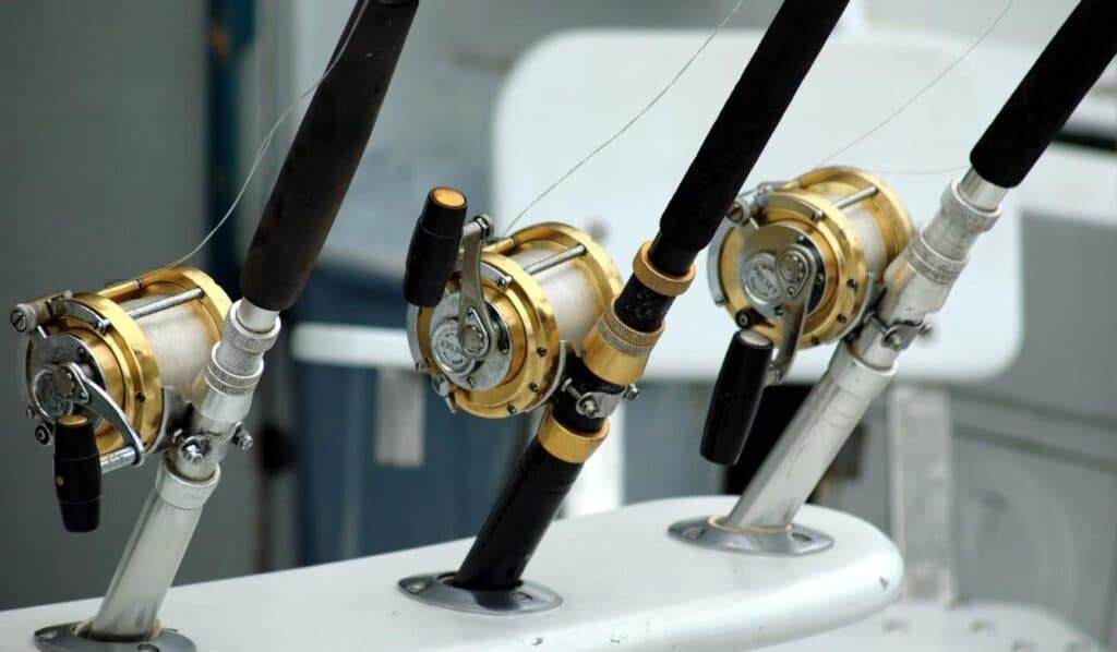 Pesca Deportiva