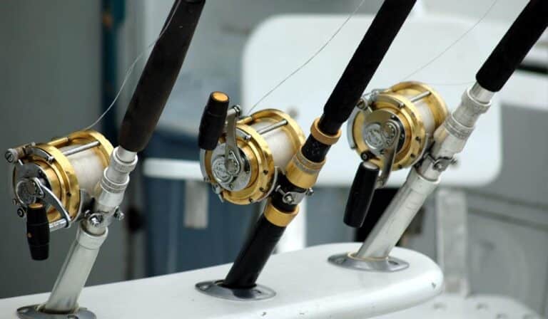 Cañas de pesca deportiva a bordo en Punta Cana