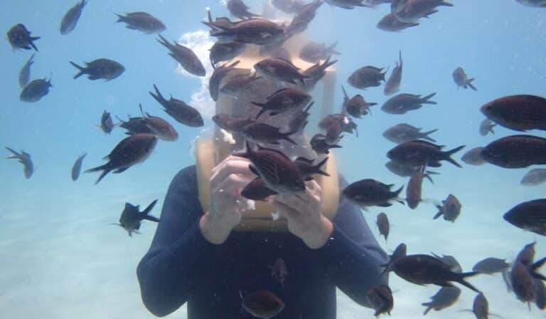 Casco submarino rodeado de peces en Punta Cana