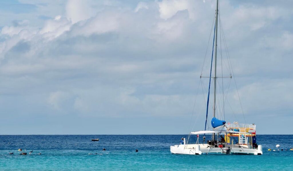 Wild On Caribbean Sea